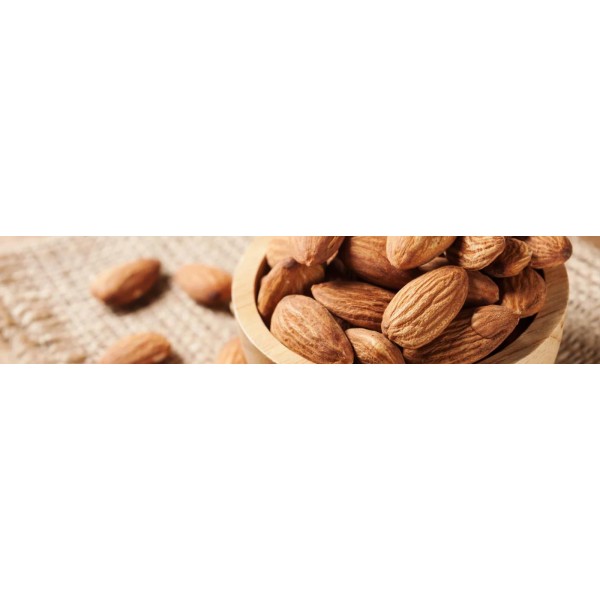 XO HAVANA RETTO 20MG 2ML