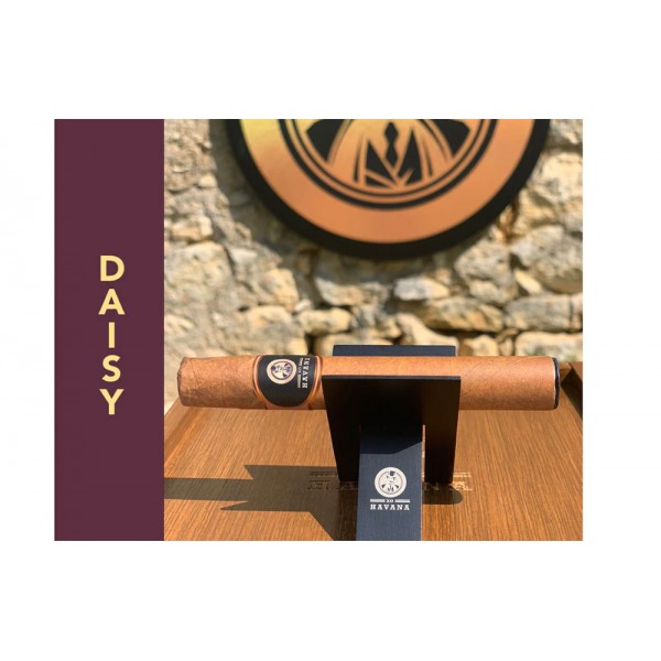 XO HAVANA DAISY 20MG 2ML