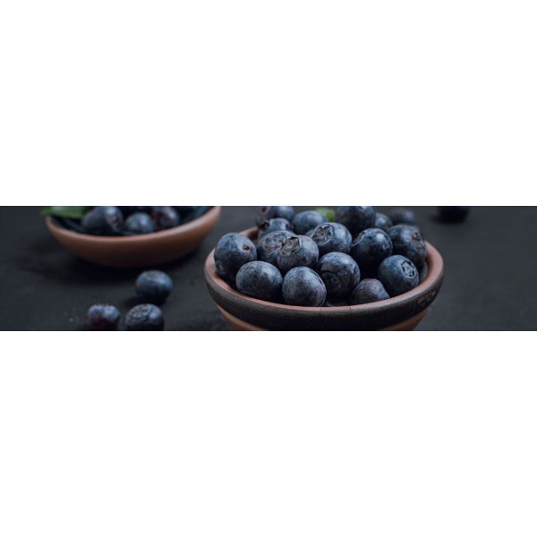 XO HAVANA DAISY 20MG 2ML